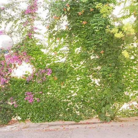 Colombet Stay's Grimaud Appartement